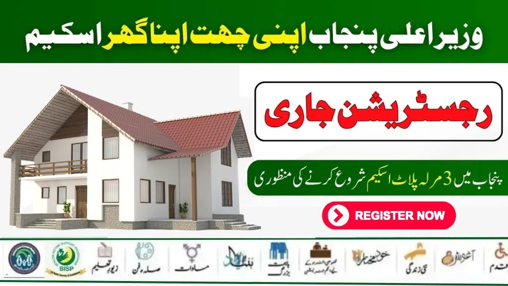 CM Punjab Ehsaas Portal