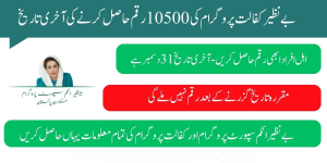 Benazir Kafaalat 10500 Payment: Apply before the deadline of December 31, 2025.