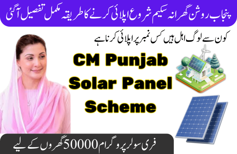 Simple Tips to Avoid Being Declared Ineligible for Punjab’s CM Free Solar Panel Program