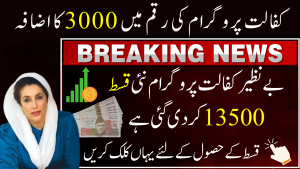 Benazir Kafaalat Payment Update: 2025 Withdrawal System